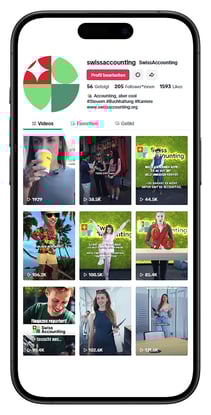 TikTok_Account_Mockup