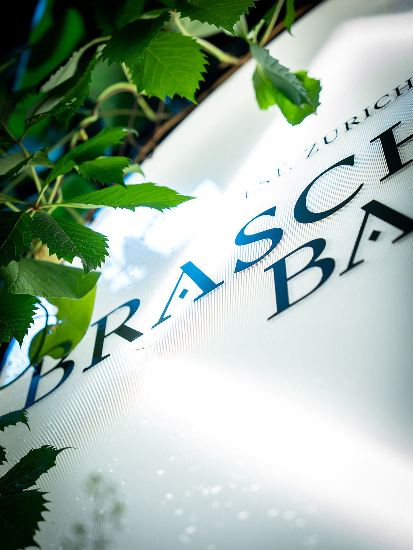 Von der Idee zur Community: SwissAccounting young ist erfolgreich gestartet